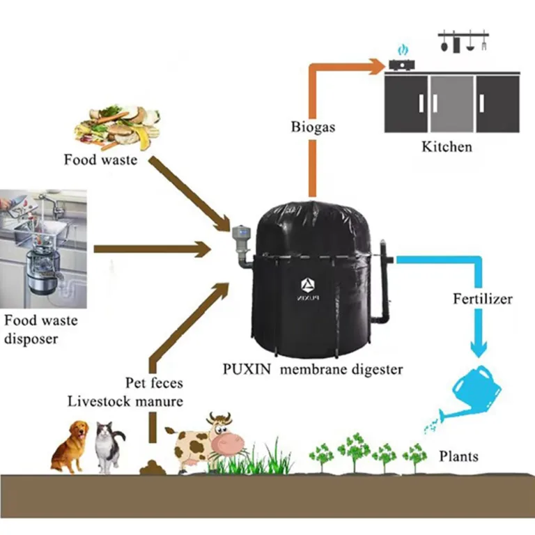 Biogas Digester